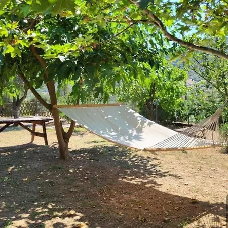 Alexandra Forest House Dom wakacyjny