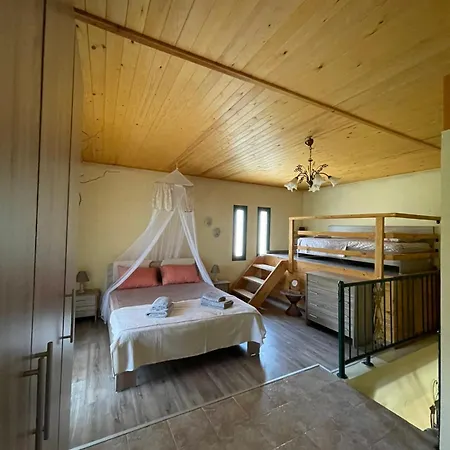 Alexandra Forest House