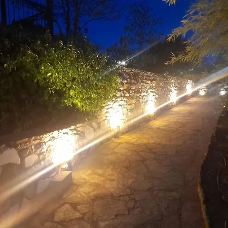 Alexandra Forest House 펜션 *