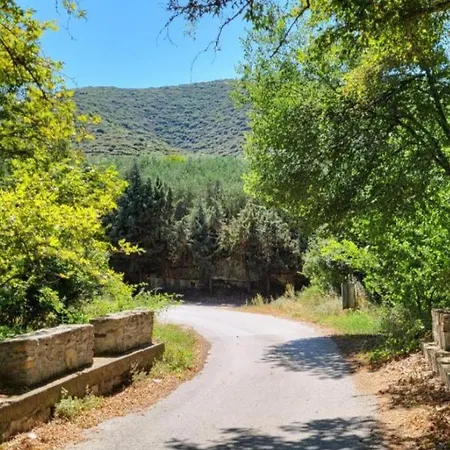 Alexandra Forest House * Kavala