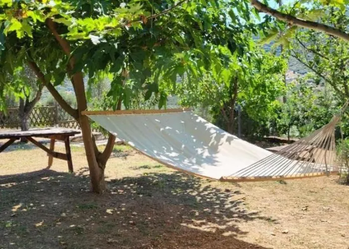 Alexandra Forest House Nyaraló