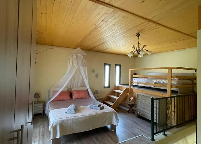 Alexandra Forest House